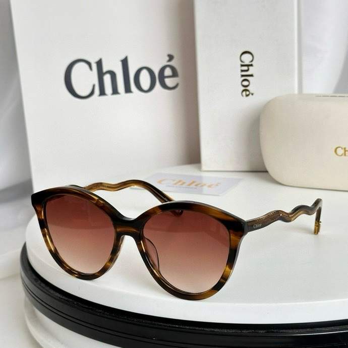 Picture of Chloe Sunglasses _SKUfw60728247fw